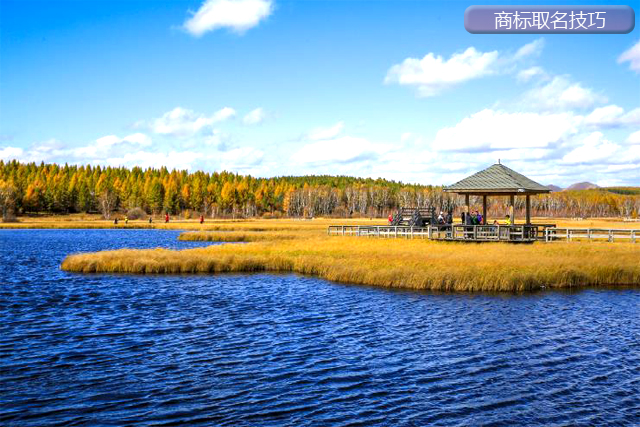 申請(qǐng)注冊(cè)商標(biāo)，商標(biāo)取名有什么技巧?