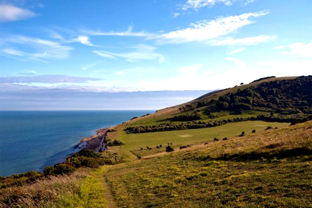 商標(biāo)注冊(cè)類別