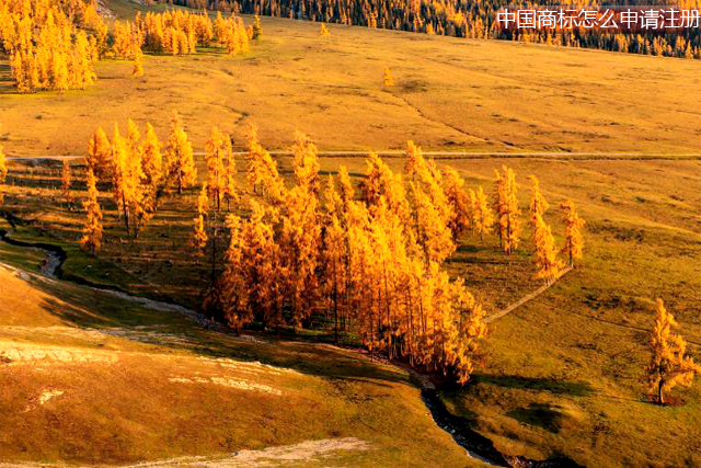 外國人或外國企業(yè)在中國申請商標注冊的具體程序